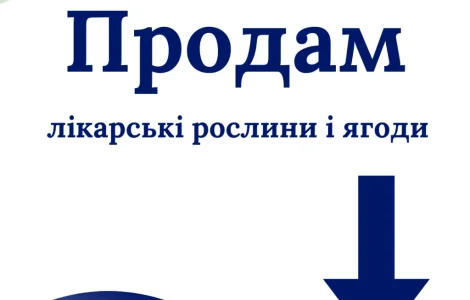 Продам лікарські РОСЛИНИ | ОПТ (лік трави і ягоди)