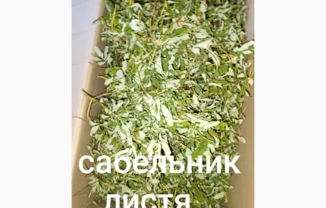 Сабельник листя