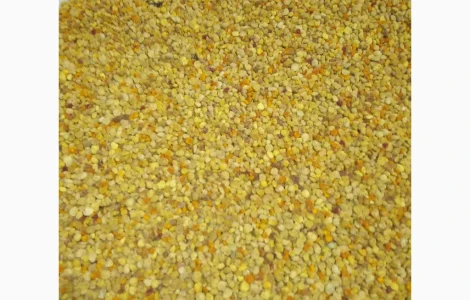 Продам пчелиную пыльцу
