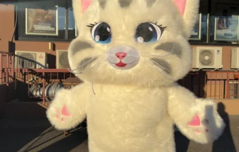 Надувной костюм аниматору кот 4 часа работы 2.4 м 60 Вт