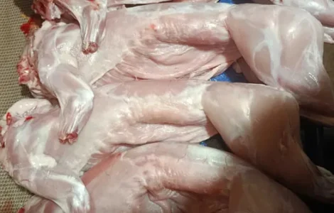 Продается мясо кролика