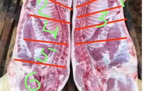 Продажа мяса домашней свиньи частями