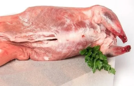 Продам мясо нутрии