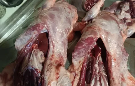 Продам мясо нутрии молодое, натуральное