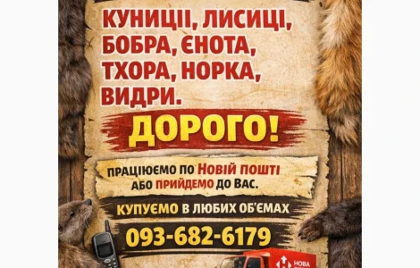 Куплю хутро куниці та інше