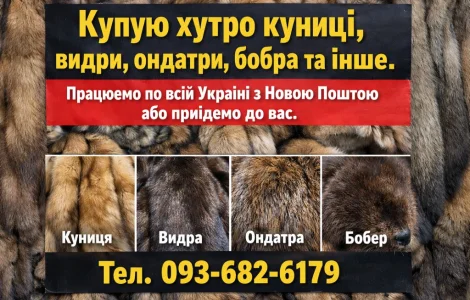 Куплю хутро Андатра