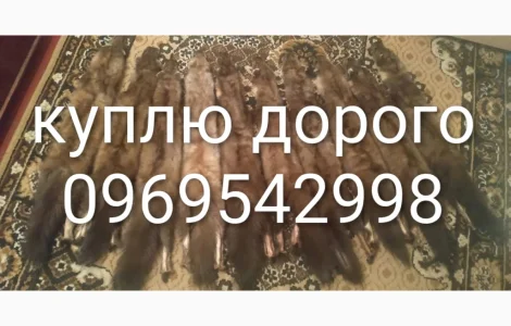 Принімаю шкіри з куниці лиса