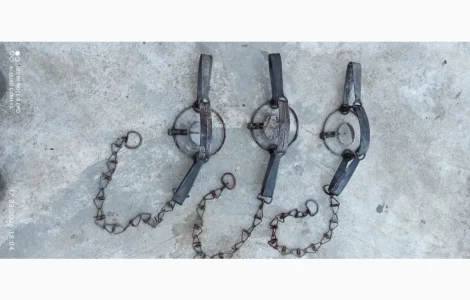 Капкан Барнаул 3