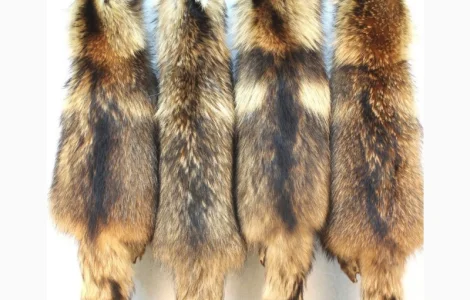 Шкуры мех/шкіри єнота/єнотовидна собака/хутро