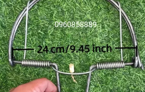 Пастка на фазана