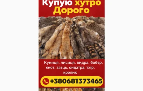 Куплю Шкури Куниці Лисиці Видри