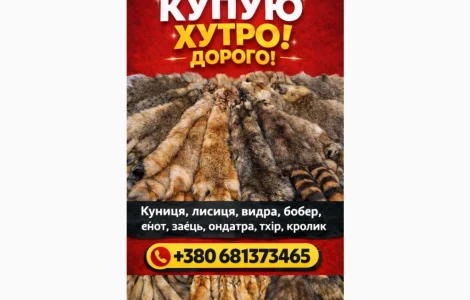 Куплю Шкури Куниці ДОРОГО