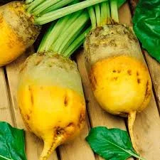 Продам кормовую свеклу, самовывоз