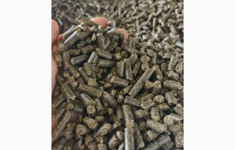 Топливная пеллета