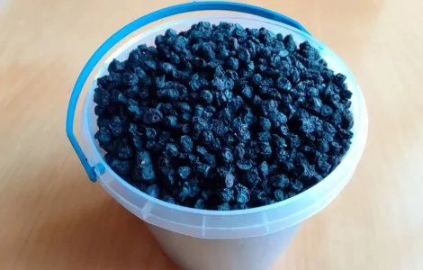 ЧЕРНИКА ЛЕСНАЯ СУХАЯ Собиралась и сушилась