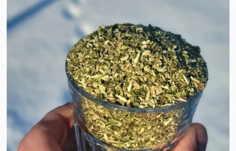 Махорка