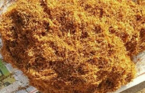 Вірджінія з городу для вас чорне руно і просто Вірджінія классік