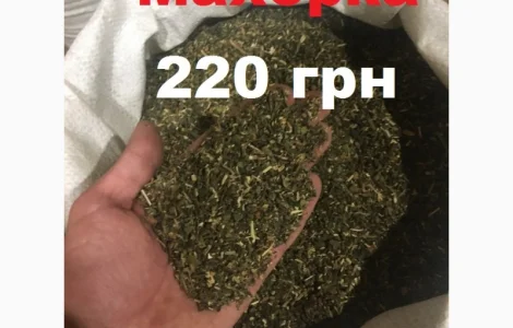 Махорка крепкая и пахучая