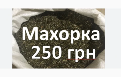 Махорка табак