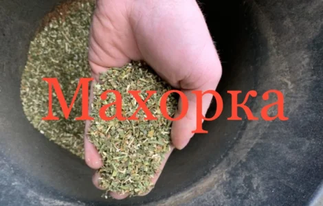 Продам махорка самосад оптом по 599 грн! Табак крепкий