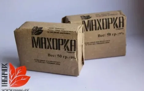Махорка которую выращиваем сами
