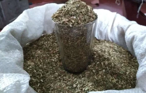 Продам махорку (самосад) Хорошего качества