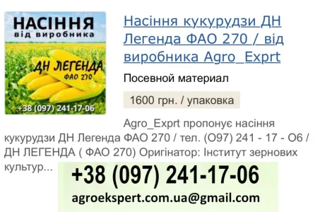 Насіння кукурудзи ДН Легенда (ФАО 270) від Agro_Exprt