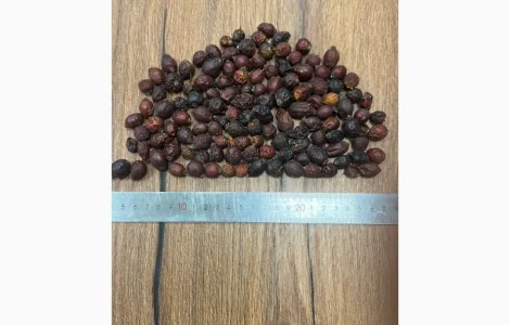 Продаж сушеної шипшини