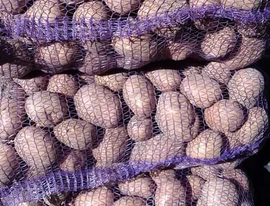 Продам картофель Белла роса та санте Лук