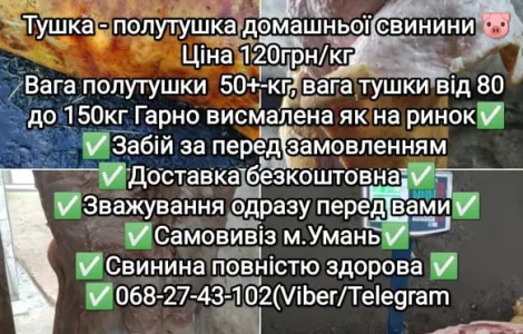Тушка полутушка мясо домашней свинины.