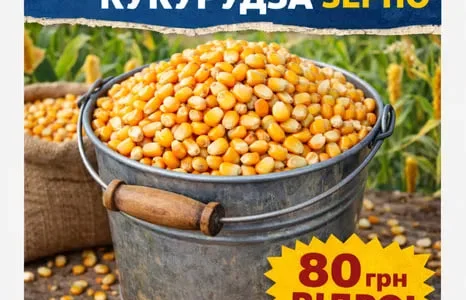 Продажа кукурузы кормовая