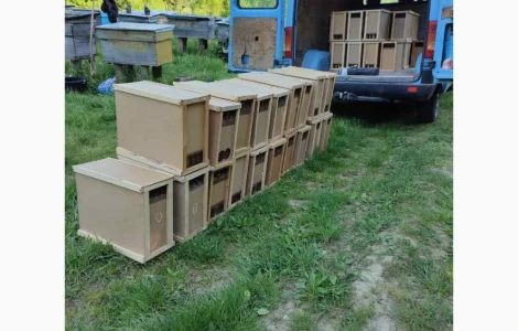 Продаются пчелопакеты с доставкой по Украине с 22 апреля