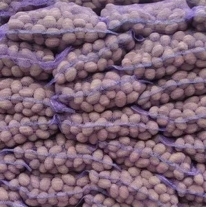 Продам семенной картофель сорту Бела Росса