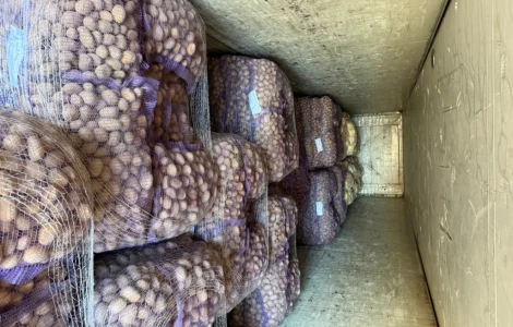 Аризона Агріко 1 репродукция