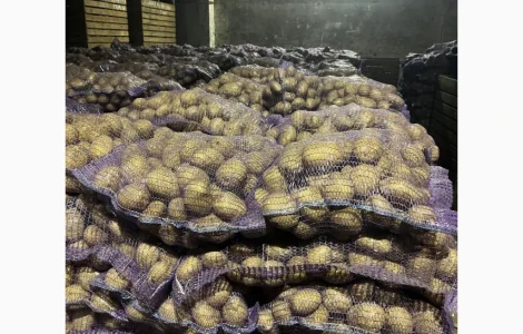 Продается бюджетная картошка