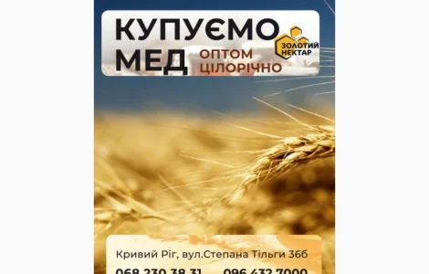 Закупаем мед Растительный сбор-2025