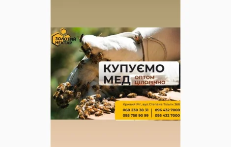 Покупаем гречневый мед оптом