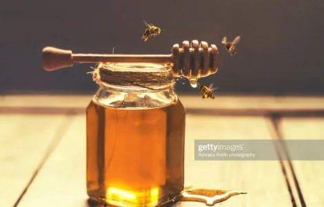 Куплю мед ОПТОМ в Черкассах