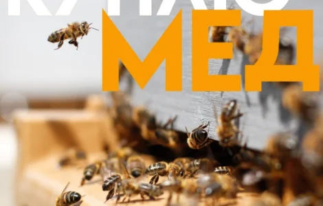 Куплю мед оптом в Виннице