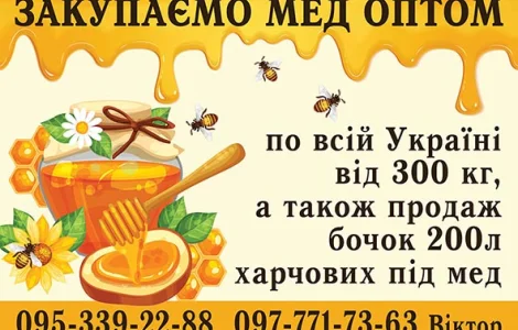 Купуємо мед оптом в с. Ожидів, Львівська область
