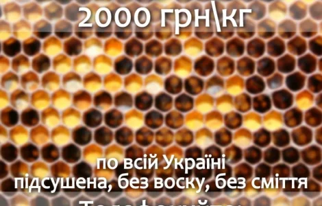 Перга – покупаем оптом