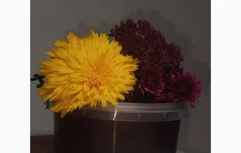 Пропонується гречаний мед