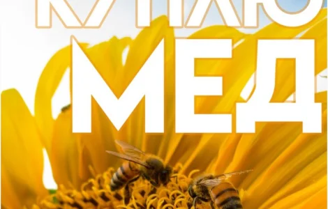 Куплю мед оптом в Кропивницком