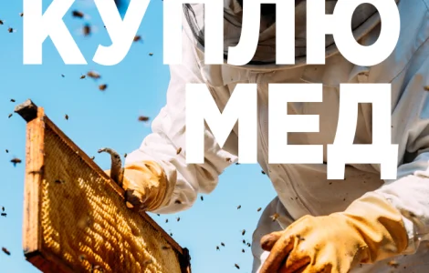 Куплю мед в Черкассах