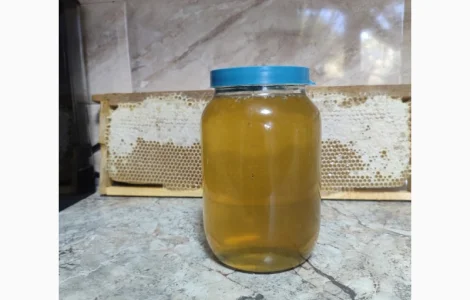 Купую мед соняшника