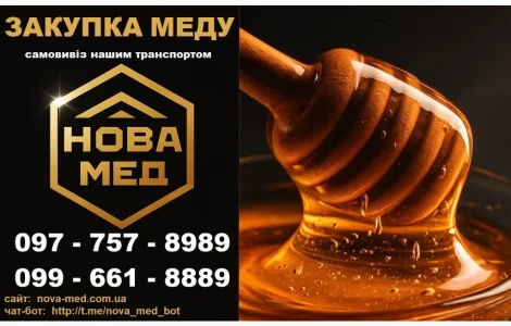 Закуповуємо мед із соняшника у Дніпрі та області