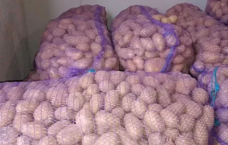 Продам посадкову картоплю сорт гранада