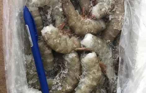 Тигрова Креветка морожена