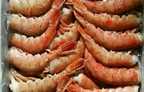 Лангустини, креветки, мідії, кальмар