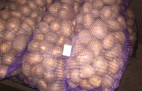 Продам картоплю